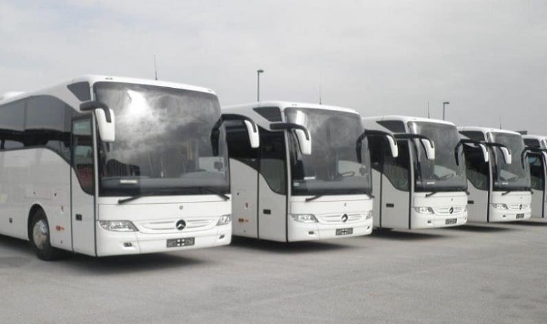 Savinja: Bus company in Celje in Celje and Slovenia